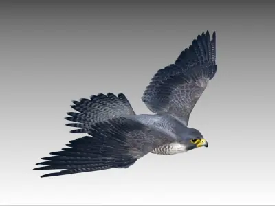 Falcon in flight Low-poly 3D model