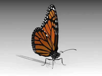 Monarch butterfly Low-poly 3D model