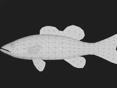 Seabass Low-poly 3D model
