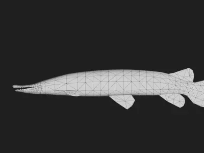 Alligatorgar Low-poly 3D model