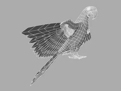 Parrot Macaw 3D model