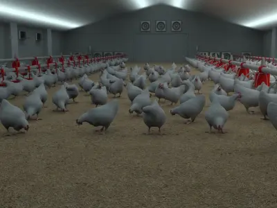 Poultry farm with rigged and animated chickens 3D model