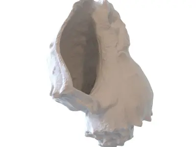 Conch shell 3D model