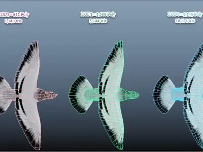 Realistic flying Pigeon - LOOP FLIGHT animations Low-poly 3D model