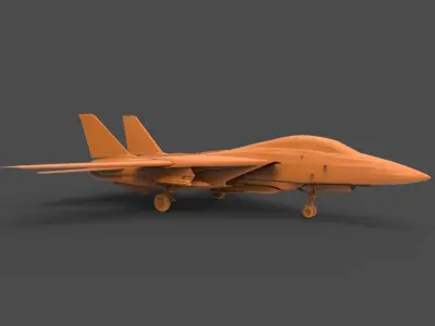 F-14 Tomcat 3D print model