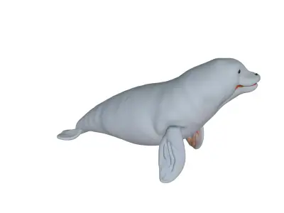 Beluga Low-poly 3D model