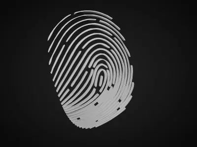 fingerprint 3D model