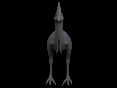 Cassowary Base Mesh 3D model