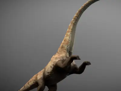 Mamenchisaurus  Low-poly 3D model