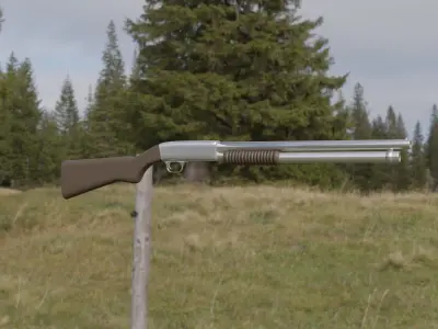 Shotgun in field Free 3D model