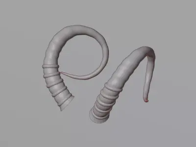 Horns 2 3D model
