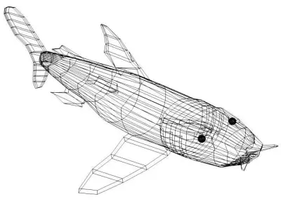 Shark - Bullshark 3D model