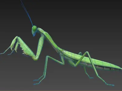 mantis insect Low-poly 3D model