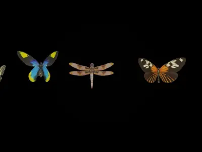 Blender 3D Insects Model 3D model