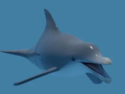 DOLPHIN LOW-POLY 3D MODEL whale tail Low-poly 3D model