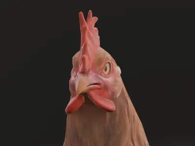 Animated Chicken 2 in 1  Low-poly 3D model