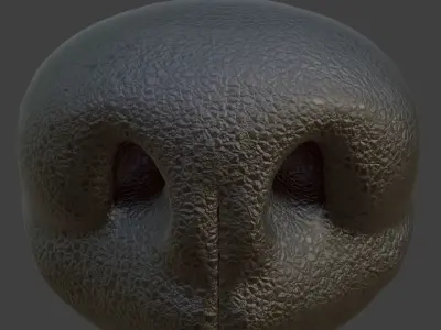 Dog Nose  Low-poly 3D model
