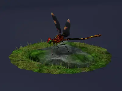 Dragonflies ants beneficial insects realistic arthropod insects 3D model