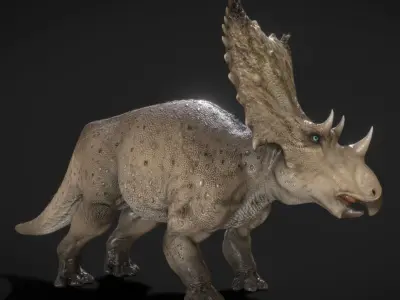 Chasmosaurus Low-poly 3D model
