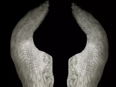 Angel Wings Free 3D model