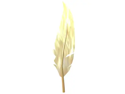 Feathers v1 010 Low-poly 3D model