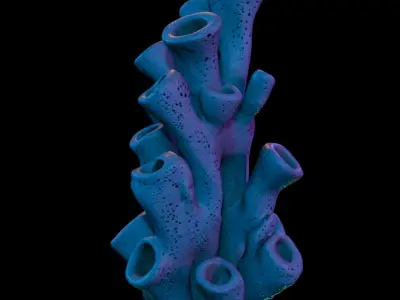 Tropical Coral Pack Free low-poly 3D model