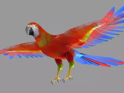 bird parrot wildlife feather parakeet  horizontal fish animal 3D model