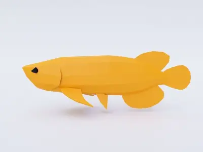 Asian arowana fish low poly 3d model  Low-poly 3D model