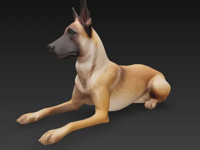 Dog 3D Model - Simple 3D model
