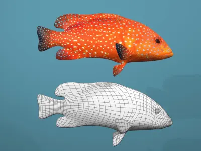 Roving Coral Grouper Low-poly 3D model