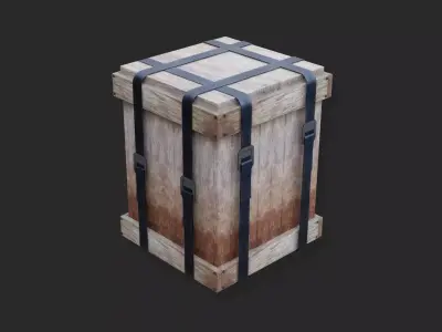 Survival Box 3D model