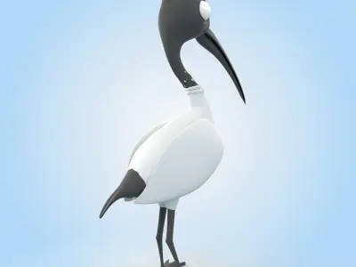 Ibis Bird 3D model