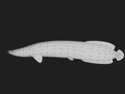 Arapaima Low-poly 3D model