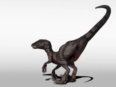 Velociraptor - Game Ready dinosaur Low-poly 3D model