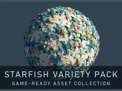 Starfish Variety Pack 2 Low-poly 3D model