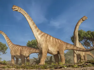 Brachiosaurus Sauropod Dinosaur Low-poly 3D model