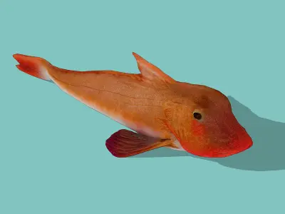 Red rockfish Low-poly 3D model