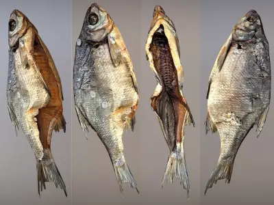 Photorealistic 3Dscan of dried open fish Low-poly 3D model