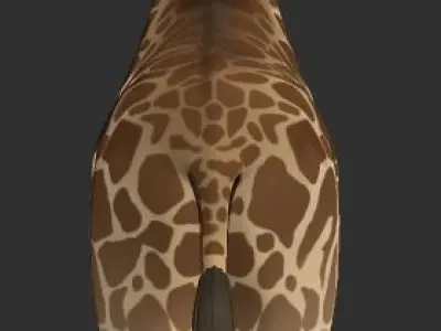 Giraffe 3D Model 3D model