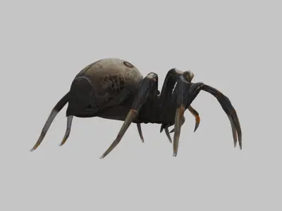 Jumping Spider Low-poly 3D model