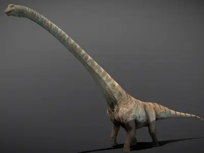 Mamenchisaurus  Low-poly 3D model