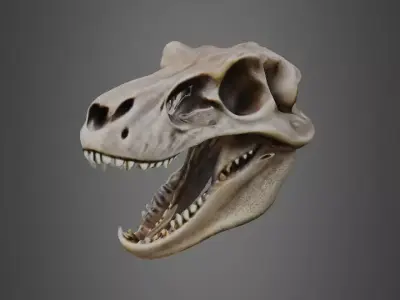 T-rex skull 3D model