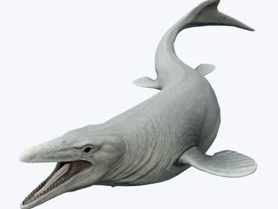 Mosasaurus Asset Pack Low-poly 3D model