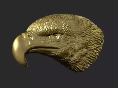 Eagle Head 3D print model