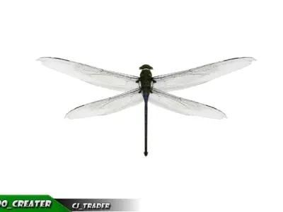 Low-Poly Wild Critter-Insect Rigged Collection Pack Low-poly 3D model