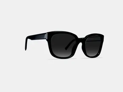 Aubrey Low Bridge Fit Sunglasses in Jet Black 3D model