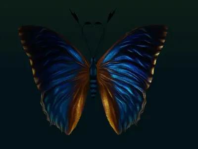 Butterflies Animated  Low-poly 3D model