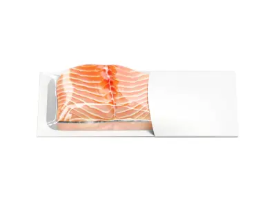 White Salmon Carton Pack - trout cardboard container  3D model