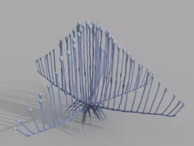 Lyre Sponge 3D model