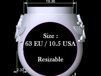 Simple Farvahar Ring 3D print model